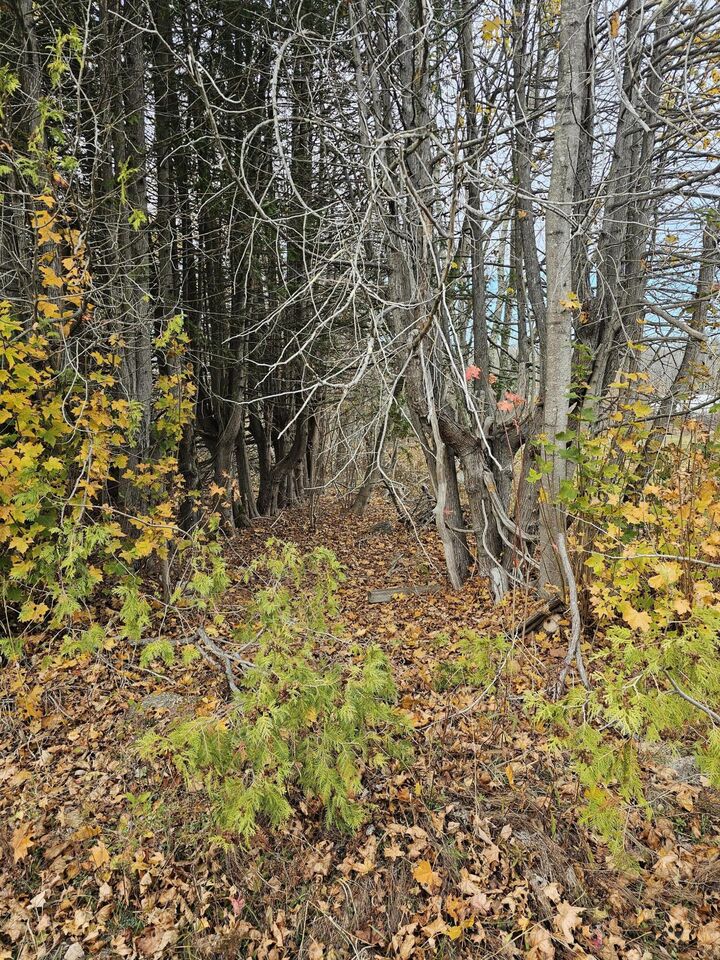 Property Photo:  Map 15, Lot 109, Main Street  ME 04634 