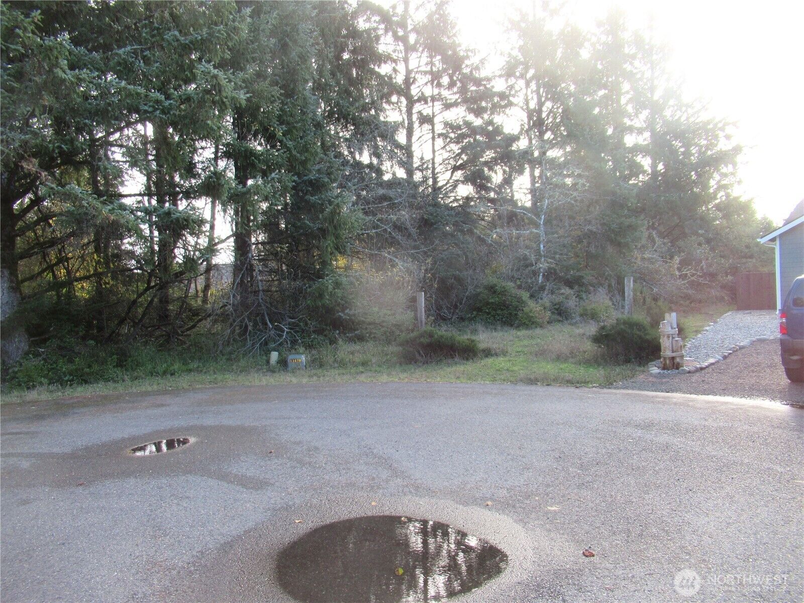 Property Photo:  311  Sycamore Court  WA 98569 