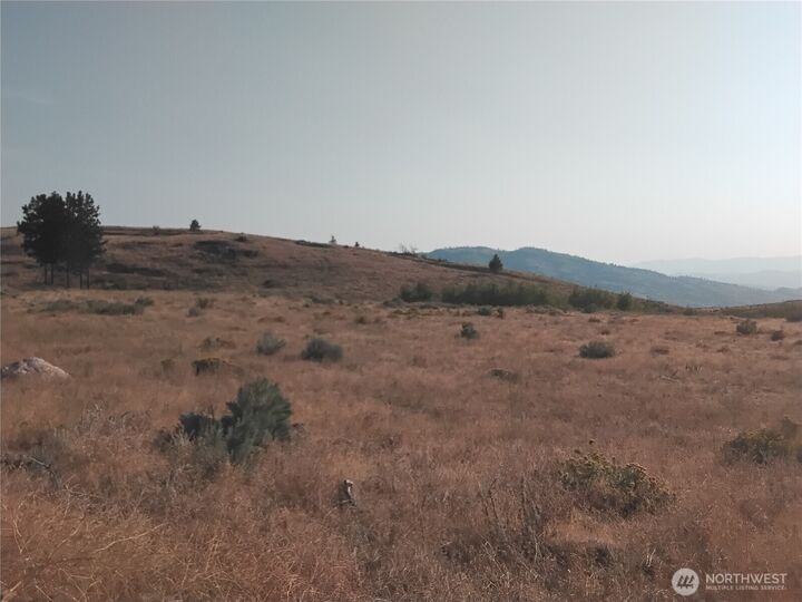 Property Photo:  5  Painted Rock Road  WA 98855 