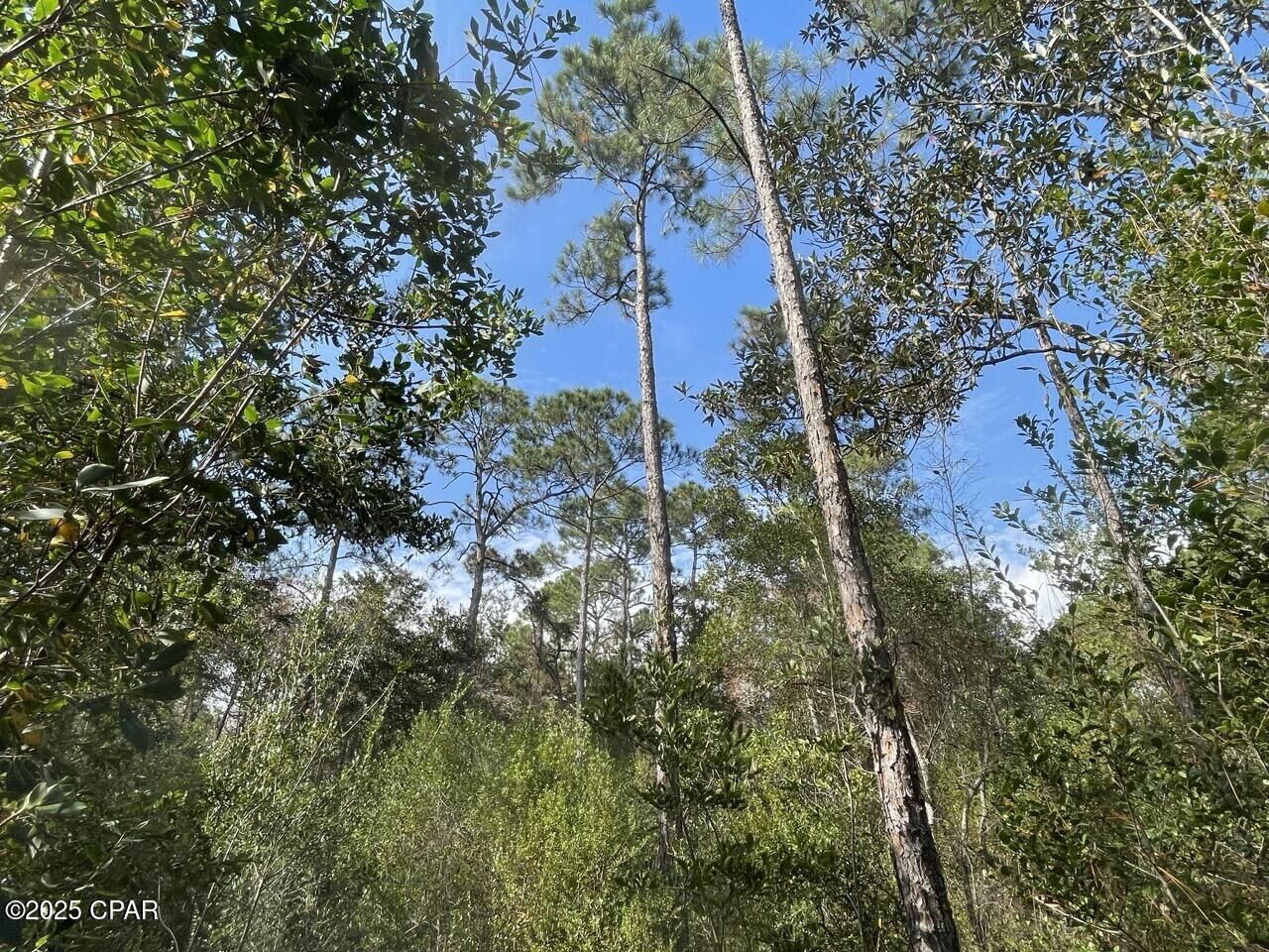 Property Photo:  0000 Lavon Road  FL 32583 