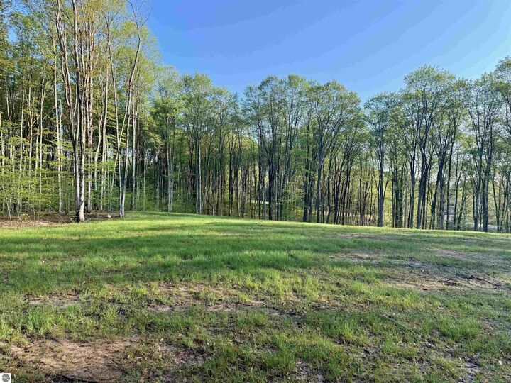 Property Photo:  001 S Bright Road  MI 49664 