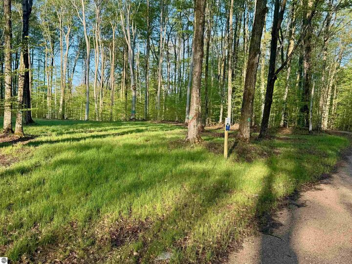 Property Photo:  002 S Bright Road  MI 49664 