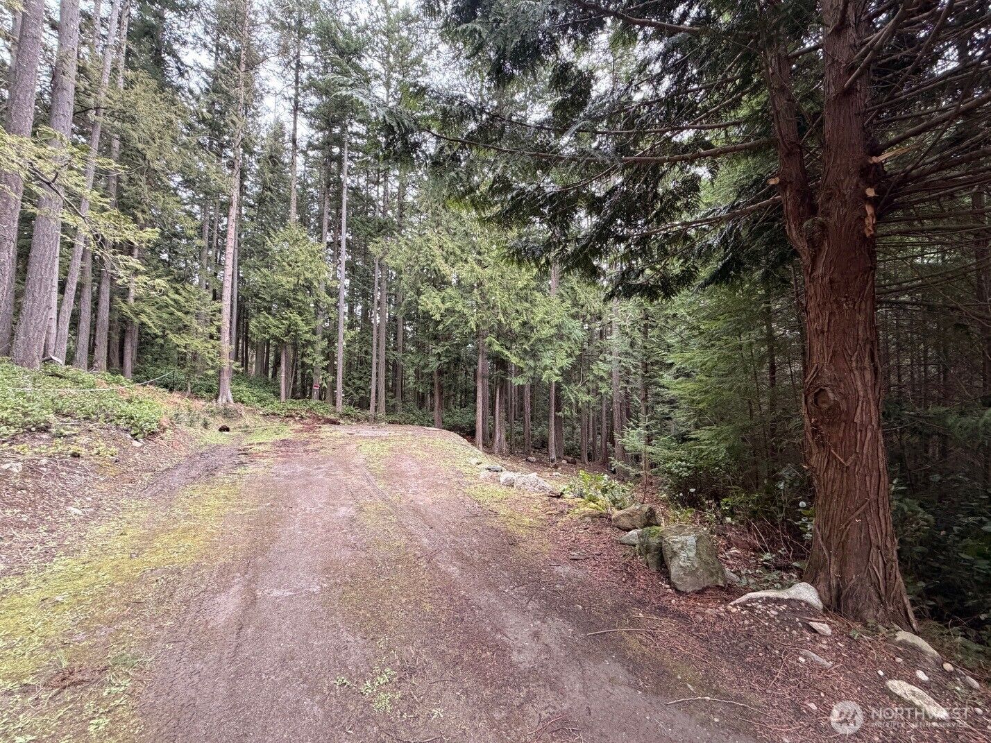 Property Photo:  0  Woodhaven Lane  WA 98261 
