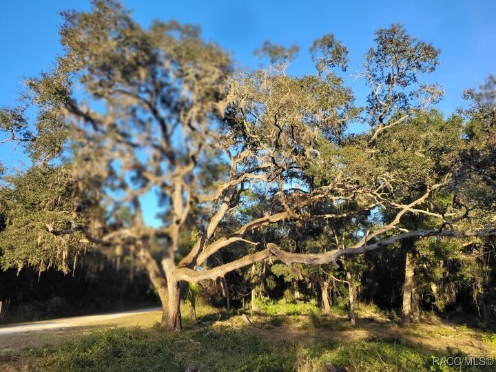 Property Photo:  0 Octavia Lane  FL 33597 