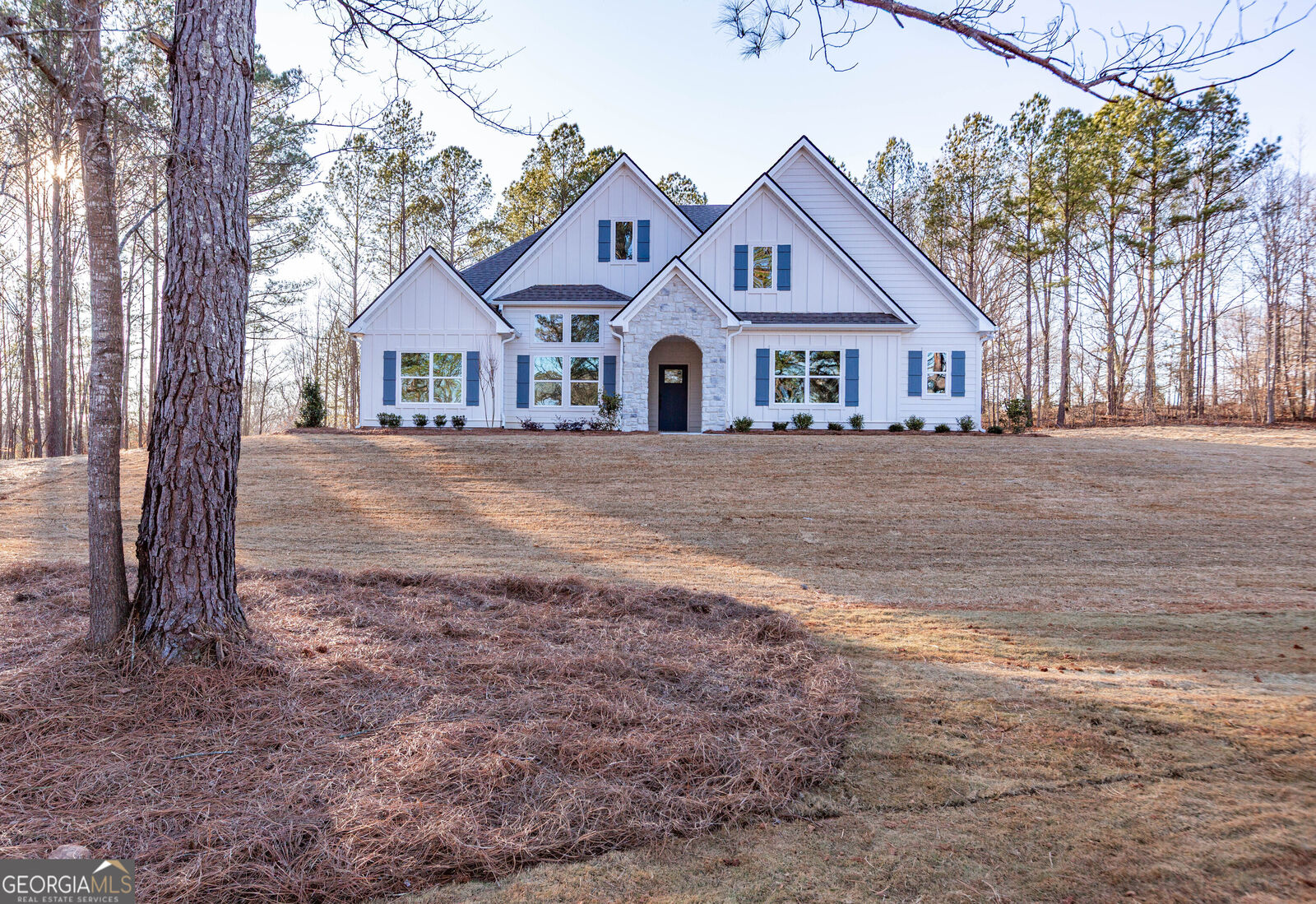 Property Photo: 156 Hidden Meadows Drive GA 30218