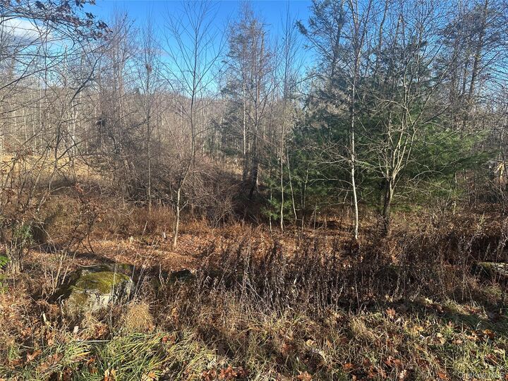 Property Photo:  Oak Ridge  NY 12428 