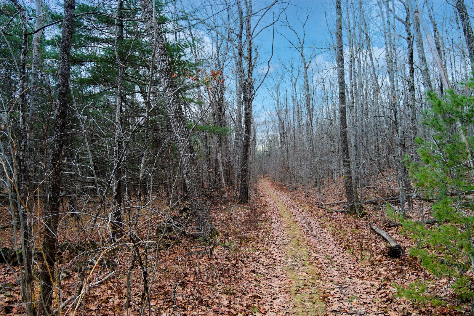 Property Photo: Lot 151 Dunbar Road ME 04861