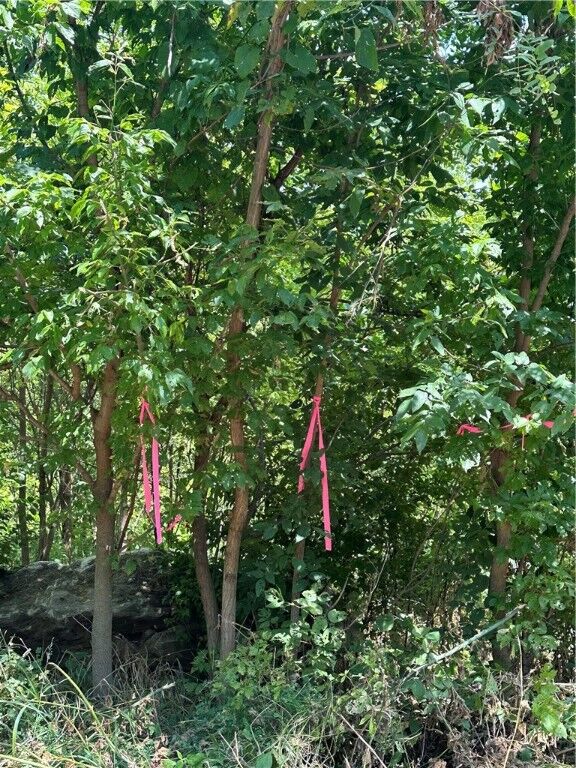 Property Photo:  0 War Eagle Black Top  AR 72764 