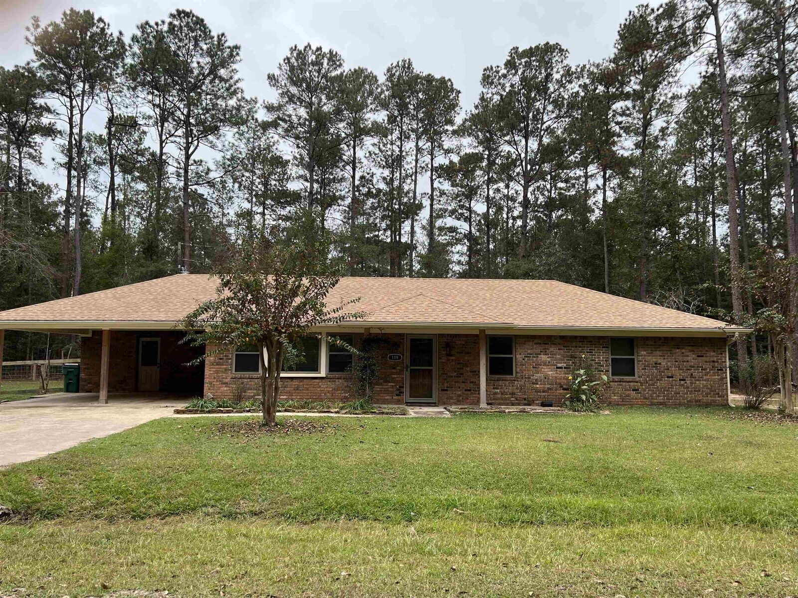 Property Photo: 119 Colorado Spruce Dr TX 77663