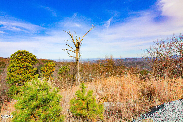 Property Photo:  915 Piney Butt Way  TN 37738 