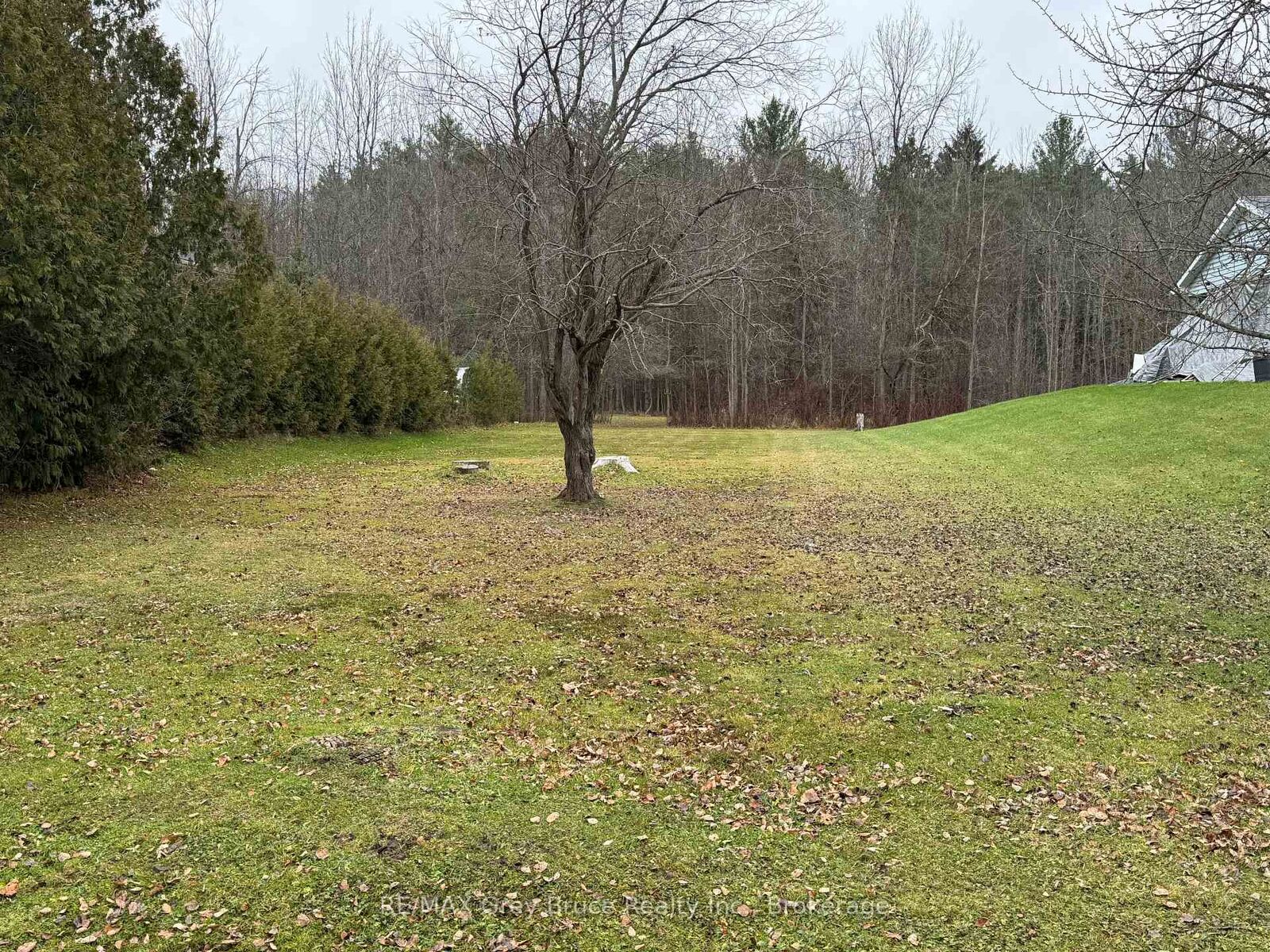 Property Photo:  111 Carney Street  ON N4K 6V5 