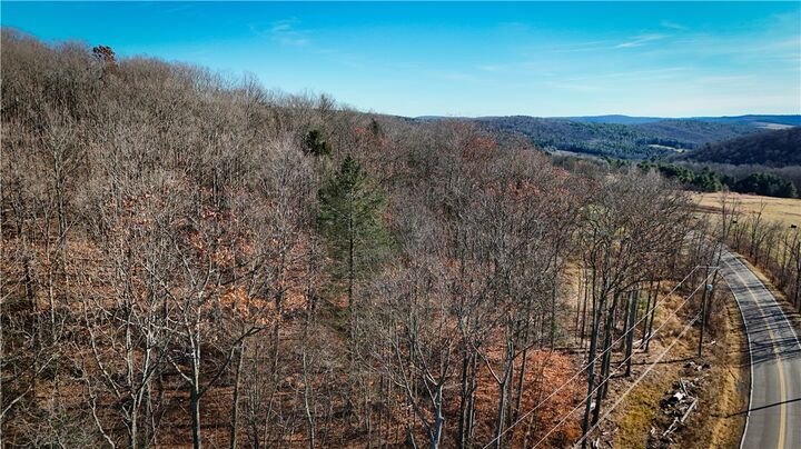 Property Photo: Lot-01 Langford Creek Road NY 14889