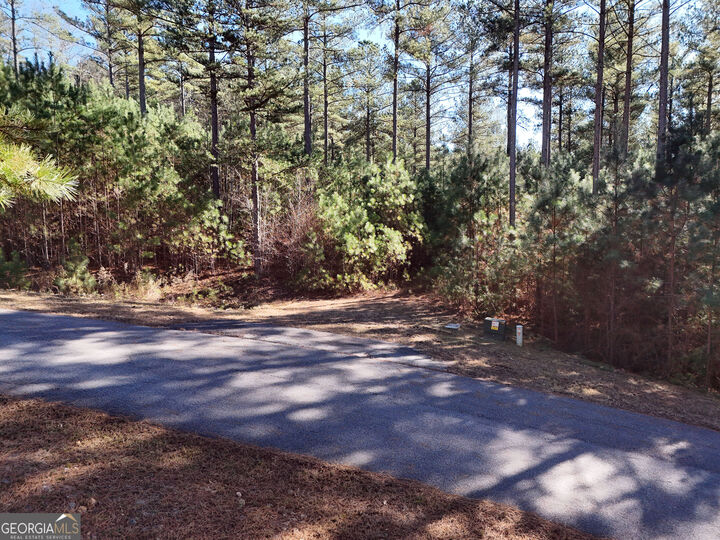 Property Photo: Lot 264 Garden Street GA 30512