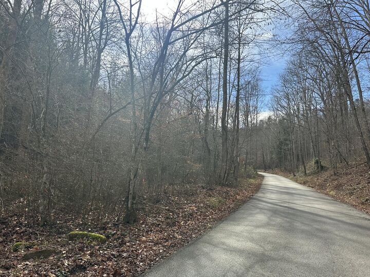 Property Photo:  Lot 2 Radford Road  KY 40729 