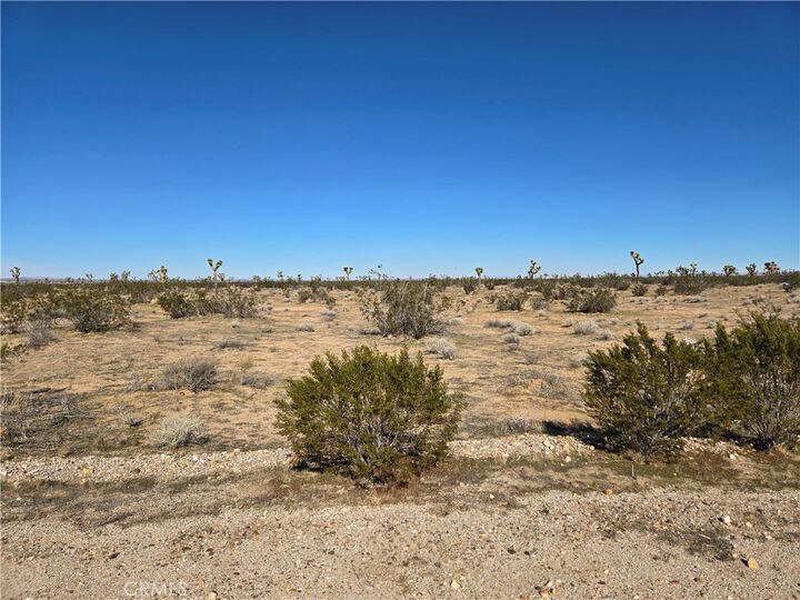 Property Photo:  0 Nichols Road  CA 92301 