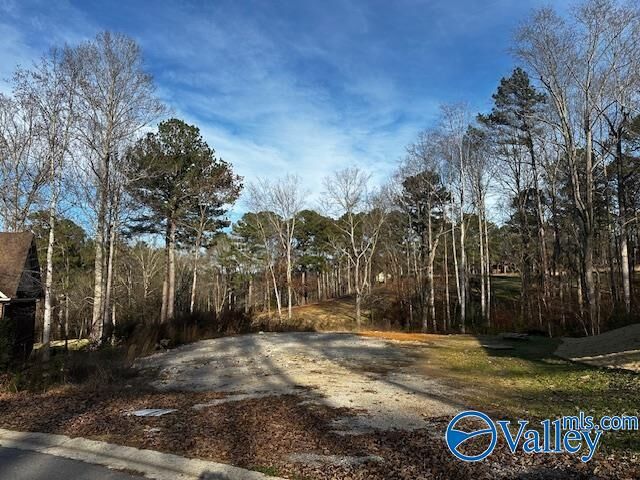 Property Photo:  Lot 2 Oak Ridge Way  AL 35175 