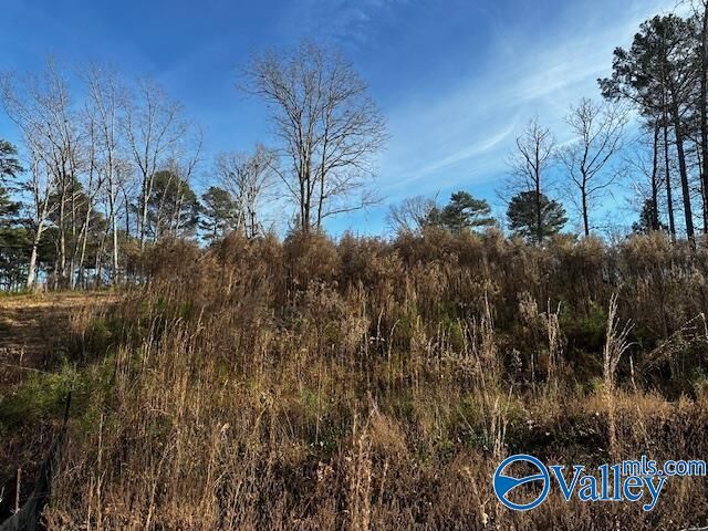 Lot 226 Woodmont Drive  Cherokee Ridge AL 35175 photo