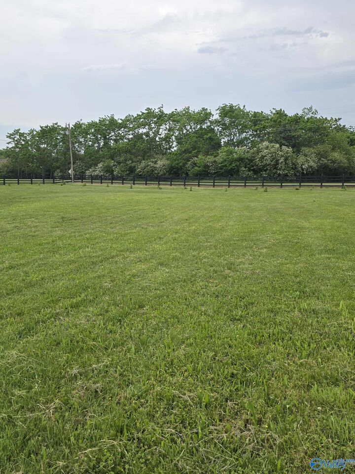 Property Photo: 17930 Wales Drive AL 35749