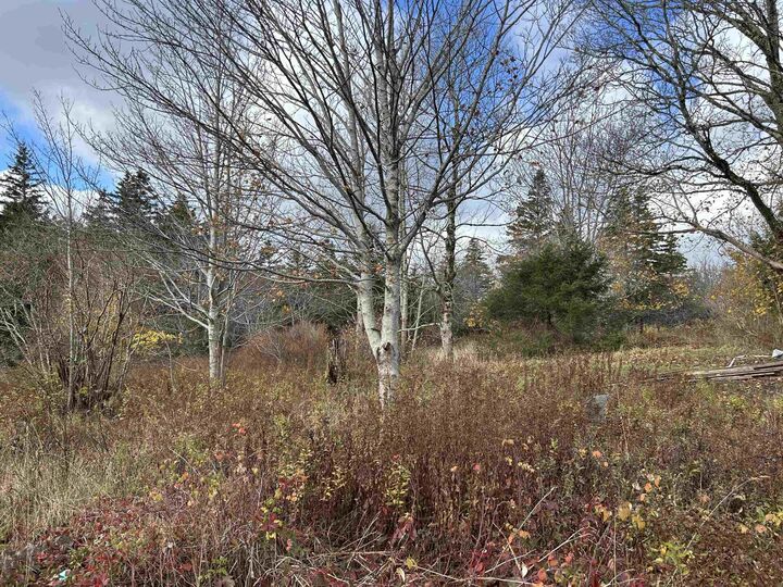 Property Photo:  2936 Highway 3  NS B0W 1E0 