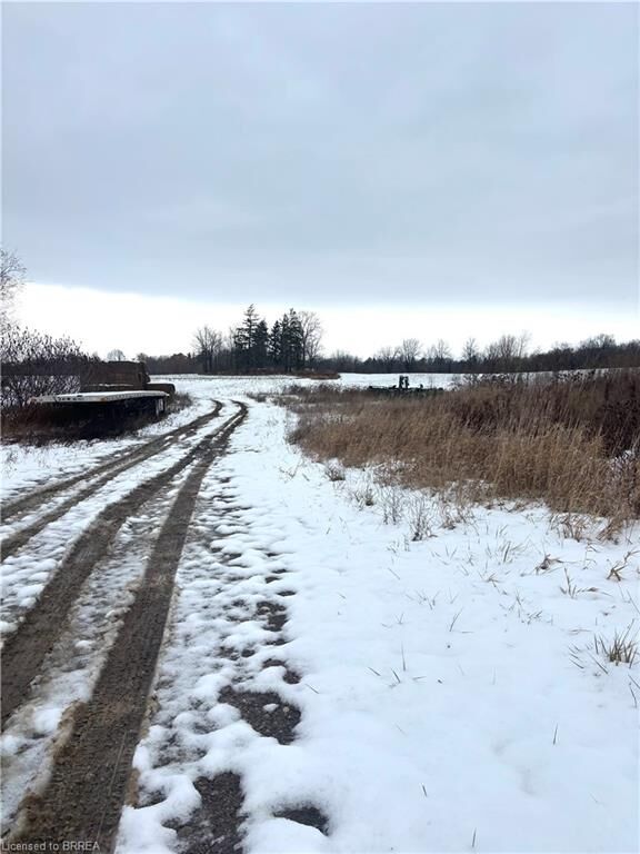 248 Old Onondaga Road E  Onondaga ON N3R 0C1 photo