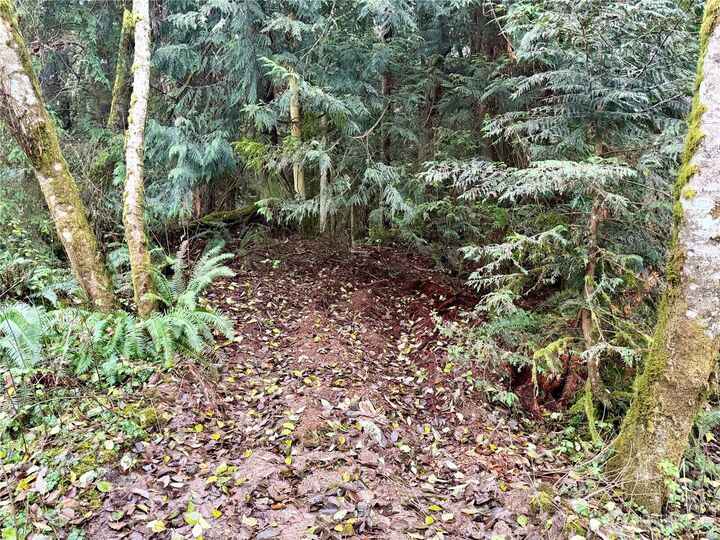 Property Photo: 0 Xxx Sorrel Lane WA 98236