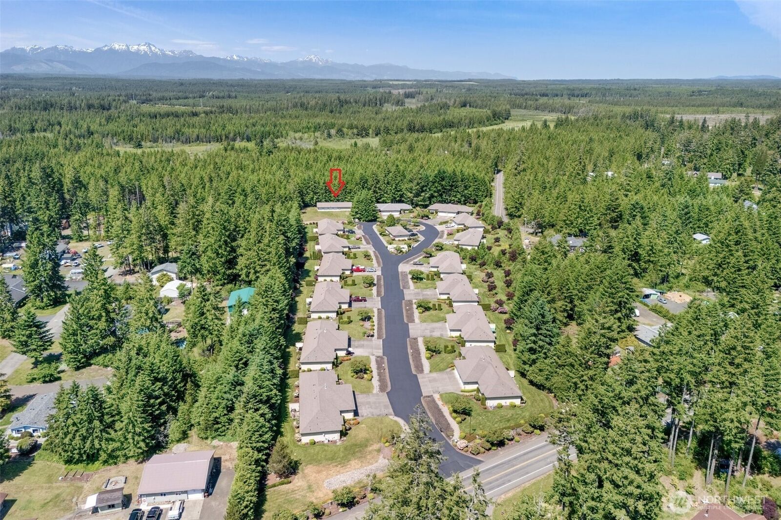 Property Photo: 161 E Beaumont Drive WA 98584