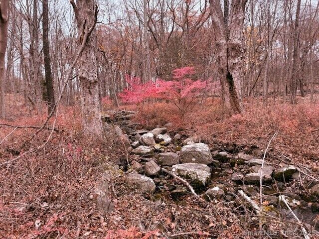 Property Photo: 72D Walnut Street CT 06483