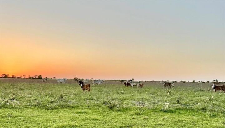 Property Photo: N/A Old Columbus Rd N TX 77474