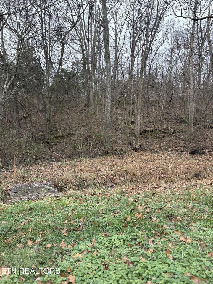Property Photo:  0 Old Buck Creek Rd  TN 37763 