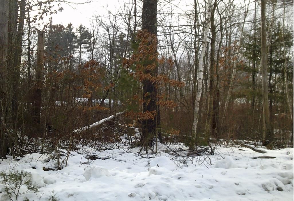 Property Photo: 8 Mark Avenue NH 03038