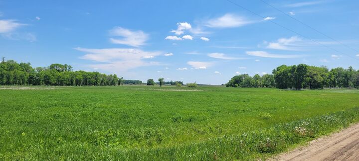 Property Photo: Xxx 455th Avenue MN 55307