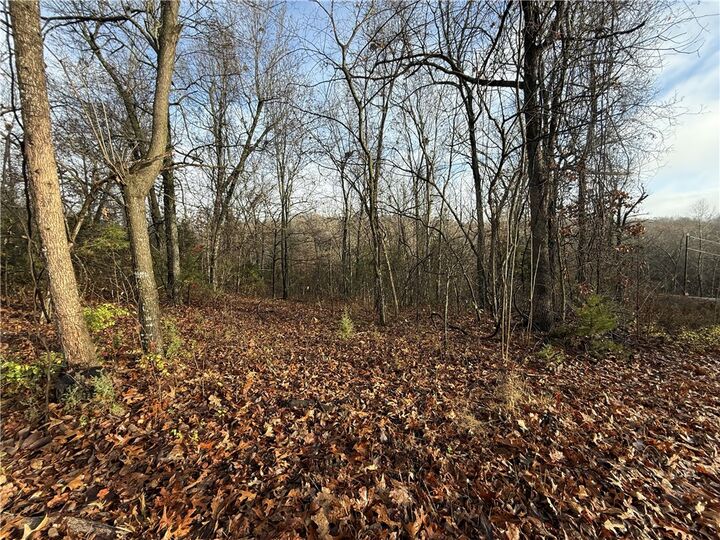 Property Photo: Dogwood Drive AR 72662