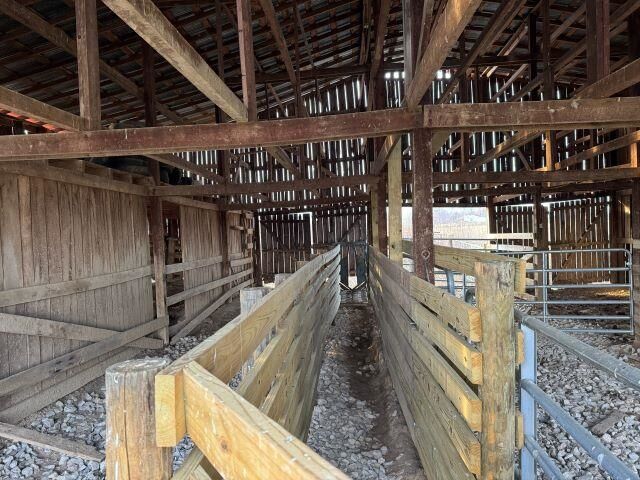 Property Photo:  10541 Smiths Grove Scottsville Road  KY 42159 