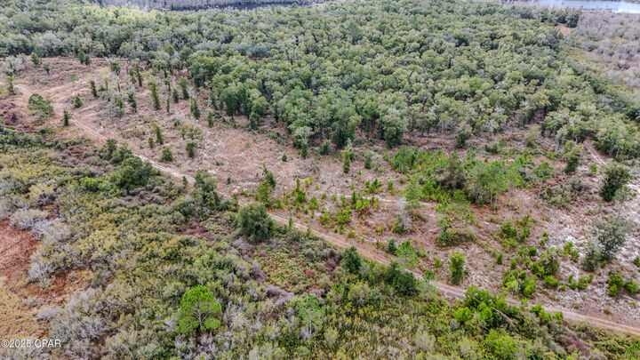 Property Photo: - Pine Log Road FL 32428