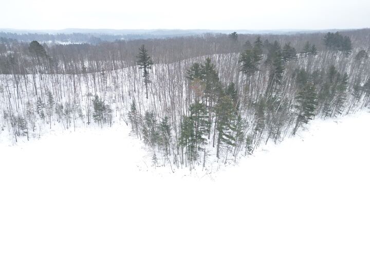 Property Photo: 64445 E Bass Lake Rd WI 54847