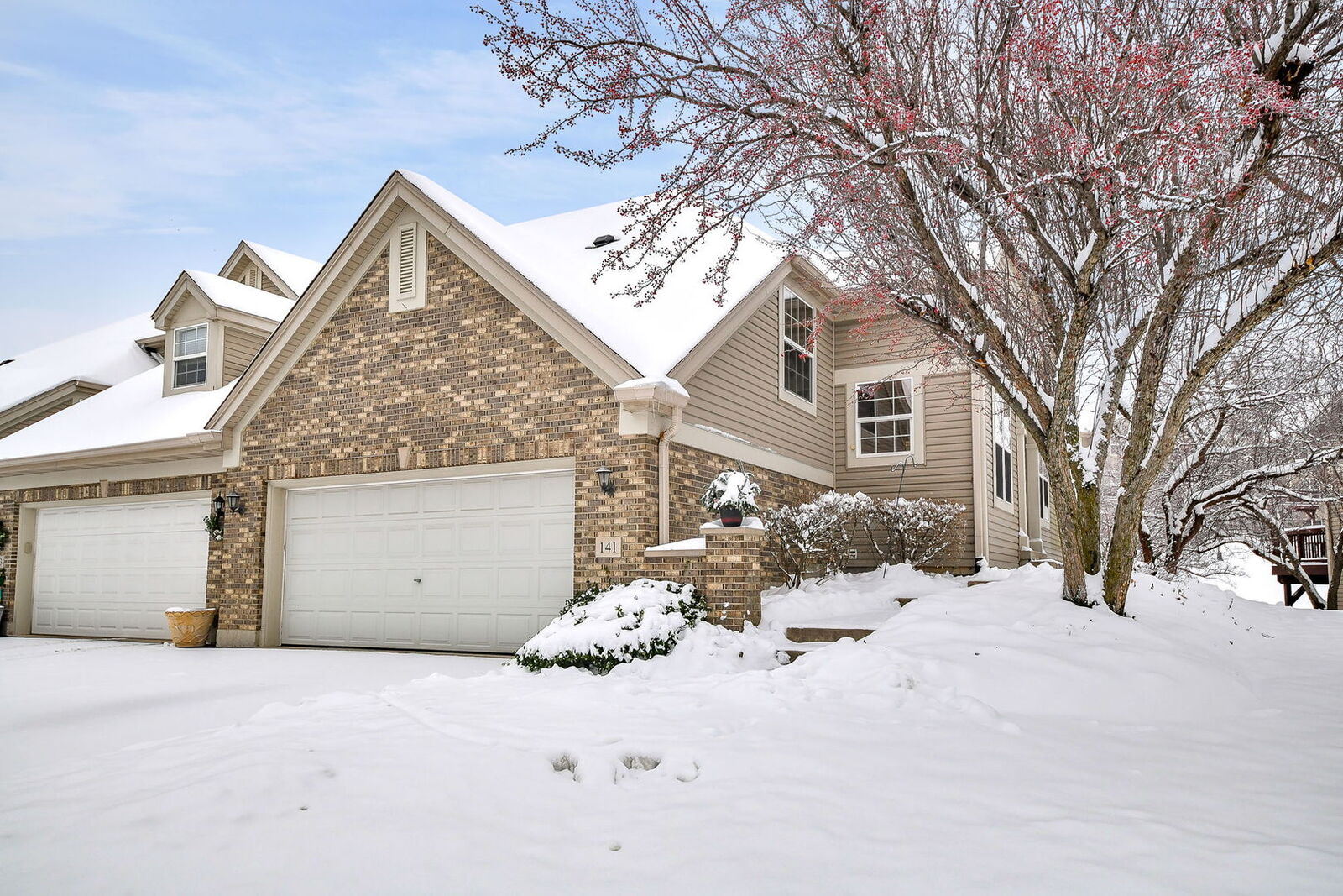 Property Photo:  141 River Mist Drive  IL 60543 