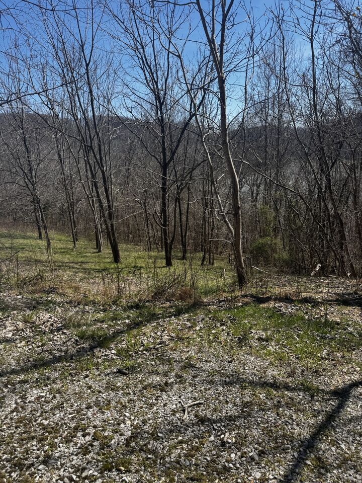 Property Photo:  0 Dakota Ln  TN 37166 