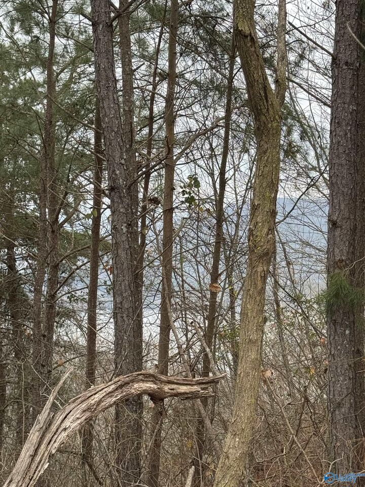 Property Photo: 1960 County Road 223 AL 35744