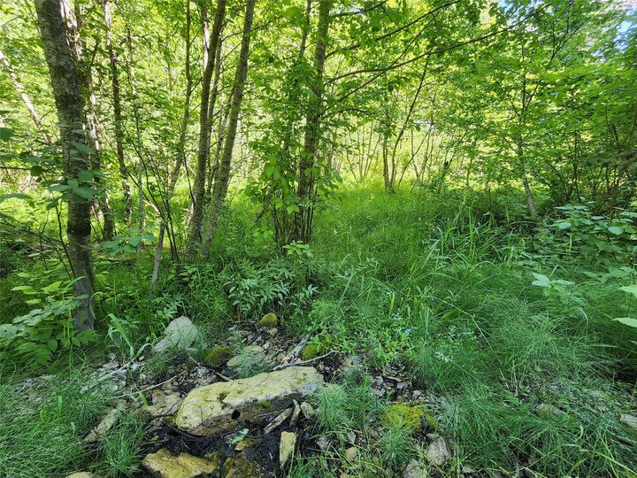 Property Photo:  Nhn Silver Butte Road  MT 59923 