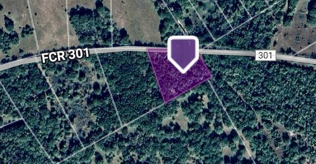 Property Photo:  Tbd County Road 301 Tract 7 Road  TX 75855 