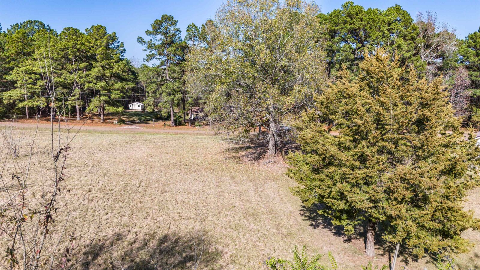 Property Photo:  Tbd Mitchell Road  TX 75670 