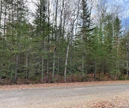 Property Photo: 9763 High Banks MI 49721 8956