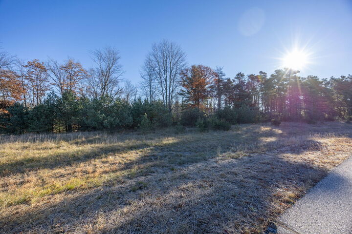 Property Photo: 11253 Killarney Drive MI 49346