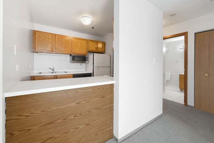 Property Photo:  3255 Kirchoff Road 306  IL 60008 