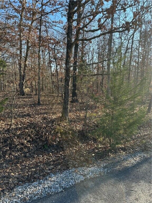 Property Photo:  Lot 17 Peebles Lane  AR 72715 