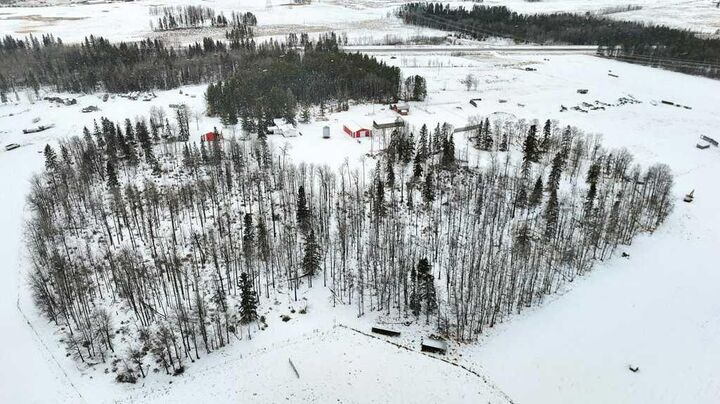 460051 Highway 20  Rural Wetaskiwin No. 10, County of AB T0C 2X0 photo