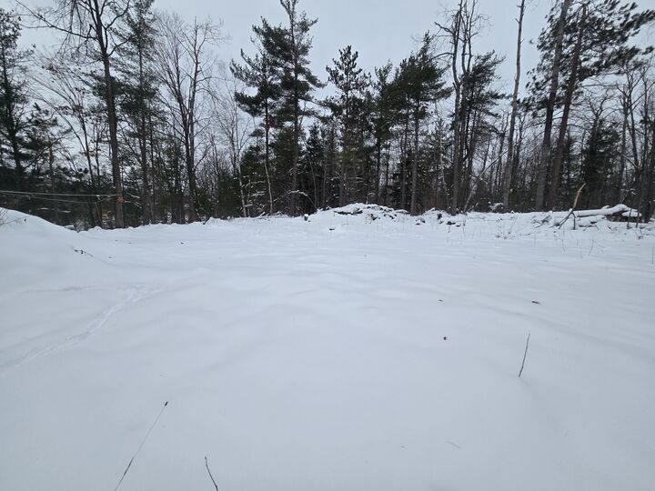 Property Photo: Lots 14-17 Mallard Trail MI 49735