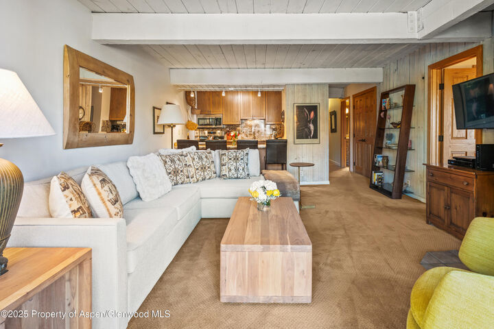 Property Photo:  131 E Durant Avenue 202  CO 81611 