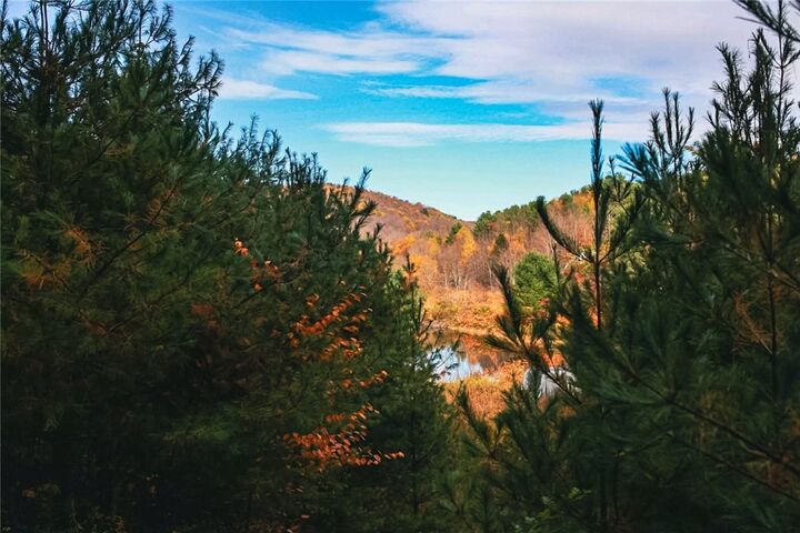 Property Photo:  Big Hollow Road  NY 13754 