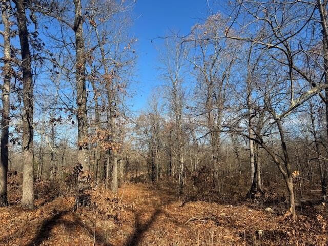 Property Photo: Lot #35 And 50 Onaga Road AR 72529